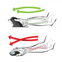 Click to enlarge Penguin Mouse - Eliminates Pronation