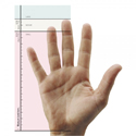 Click to enlarge Penguin Mouse Sizing Guide