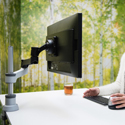 Click to enlarge R-Go Zepher 4 C2 Monitor Arm